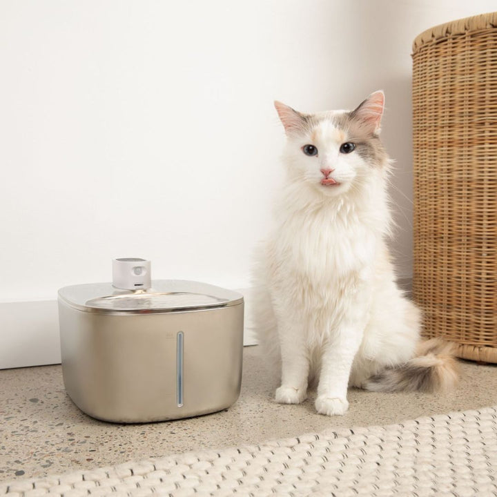 FUENTE DE AGUA INALÁMBRICA PARA GATOS