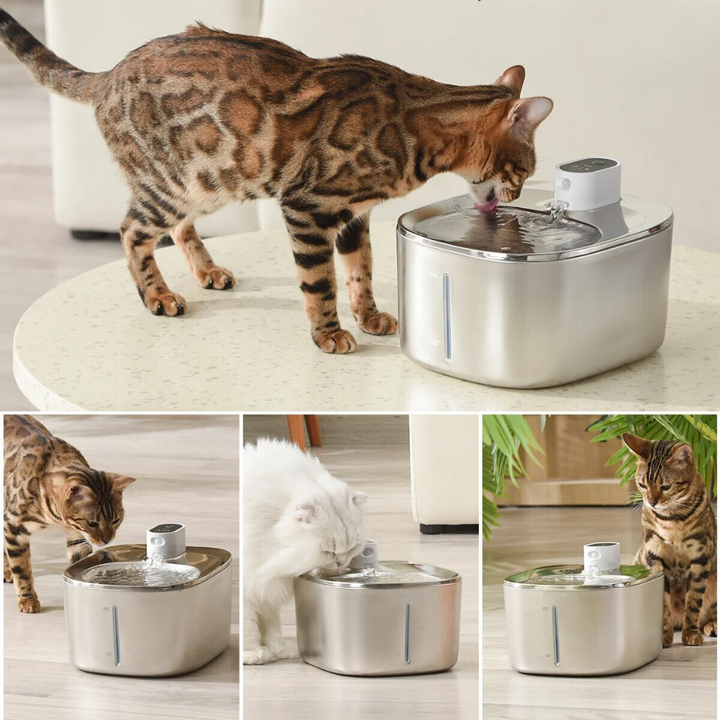 FUENTE DE AGUA INALÁMBRICA PARA GATOS